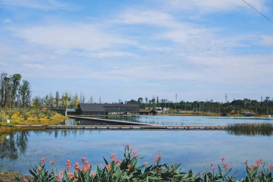 成都周末遛娃游推荐,遛狗公园成都