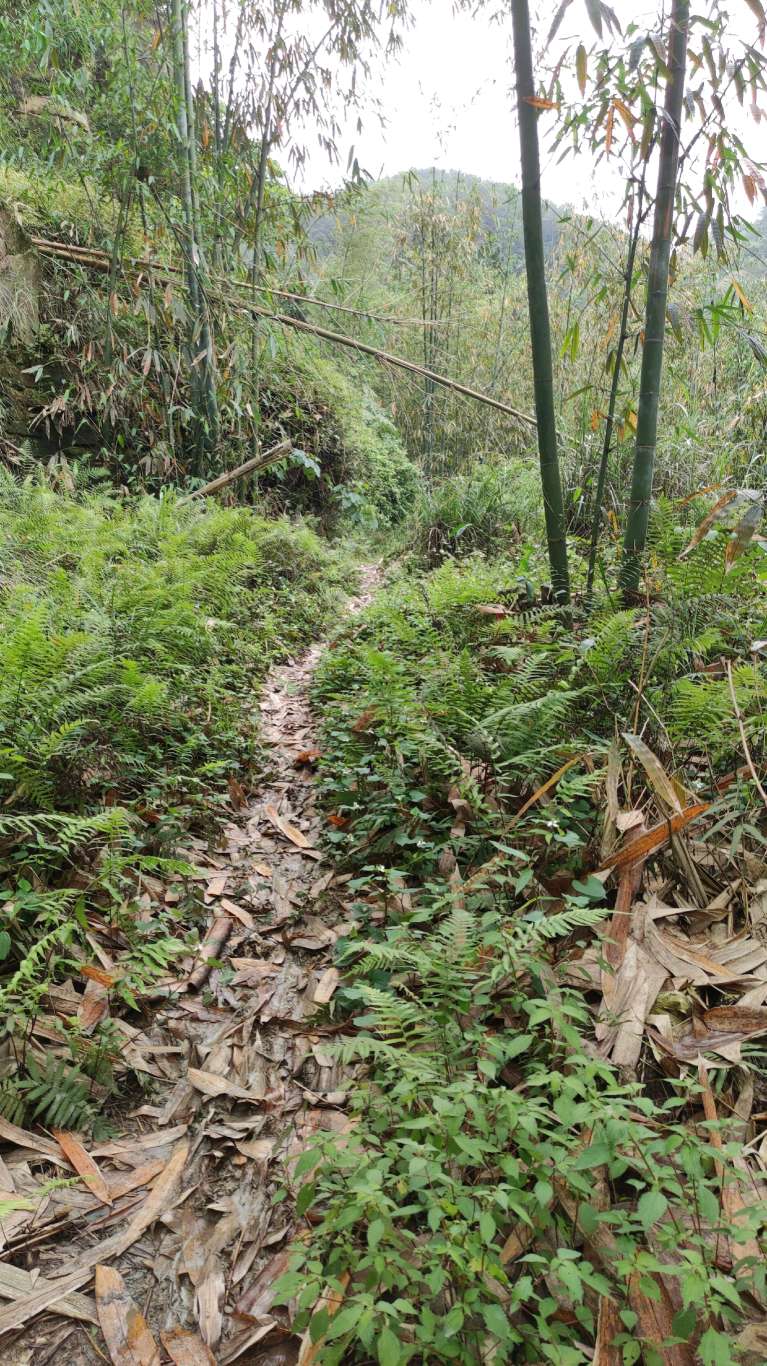 长沙水库钓鱼条件最好的地方,长沙哪里好钓鱼攻略