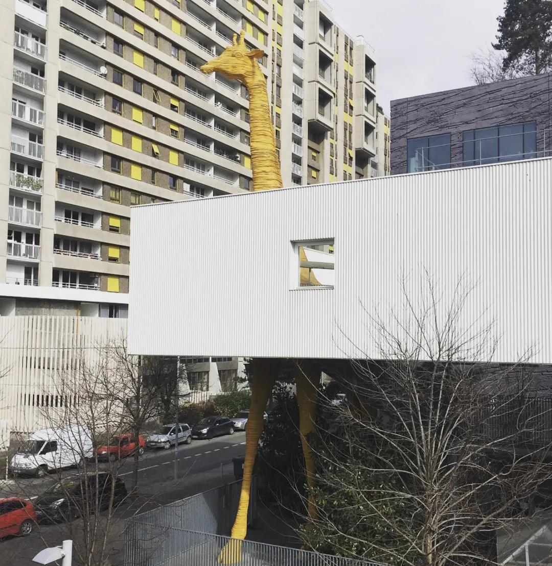 看了就想养的宠物,看了就想养宠物的视频