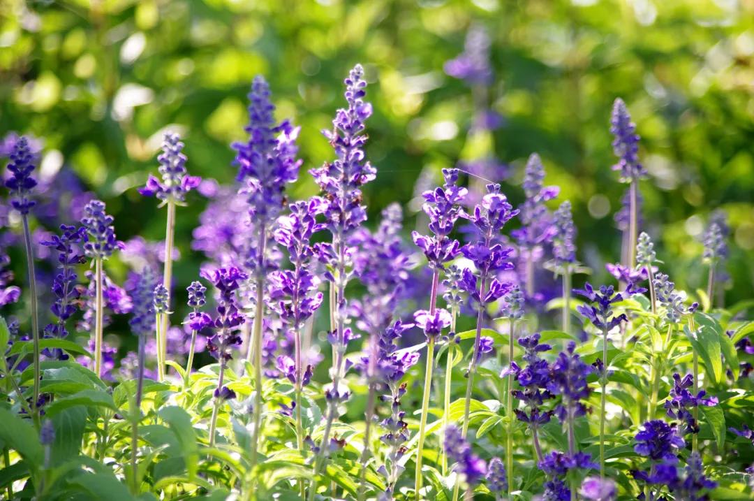 盐龙公园健身项目有哪些,盐龙体育公园室内