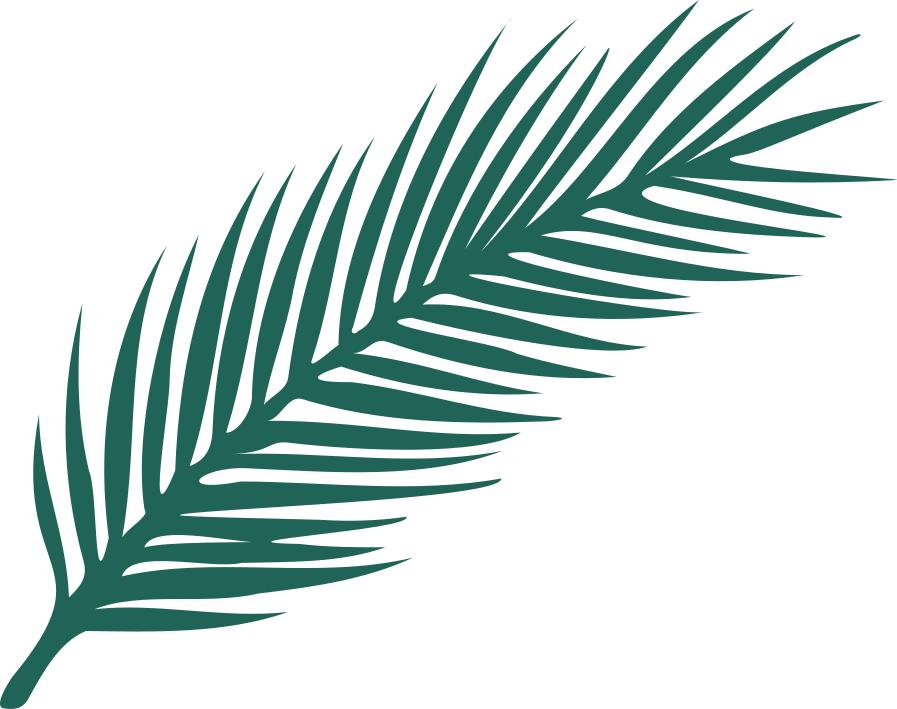 在校生当兵政审表去学校盖章,应征入伍政审表电子版在哪里