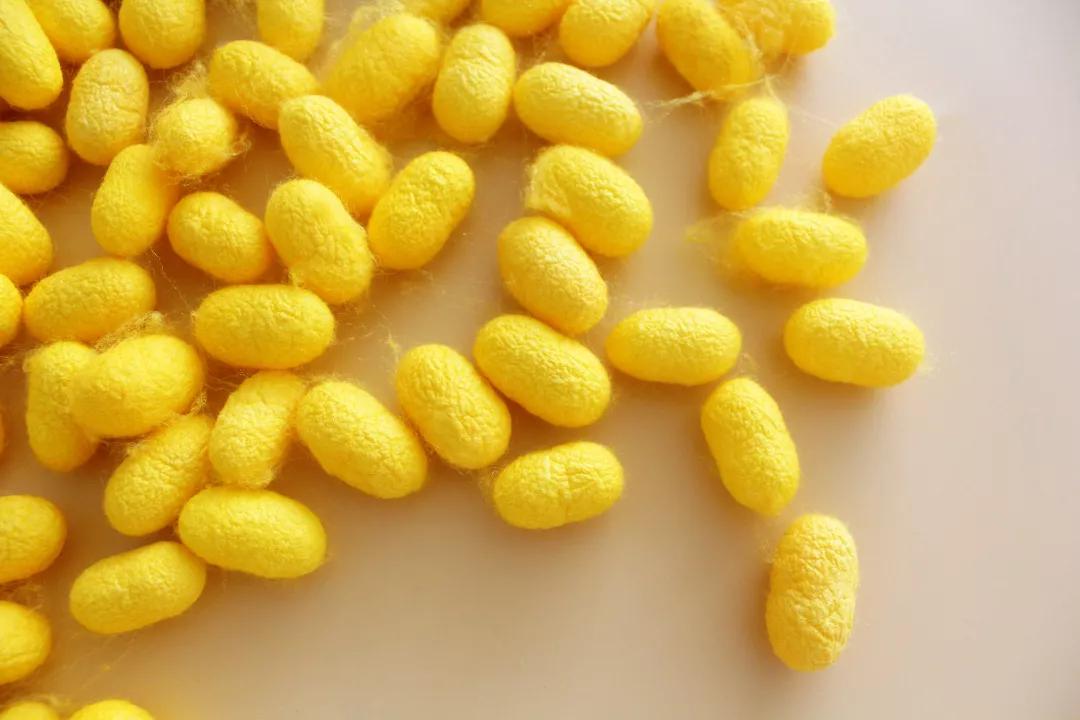 蚕丝面膜蚕丝蛋白,蚕丝蛋白面膜的功效与作用