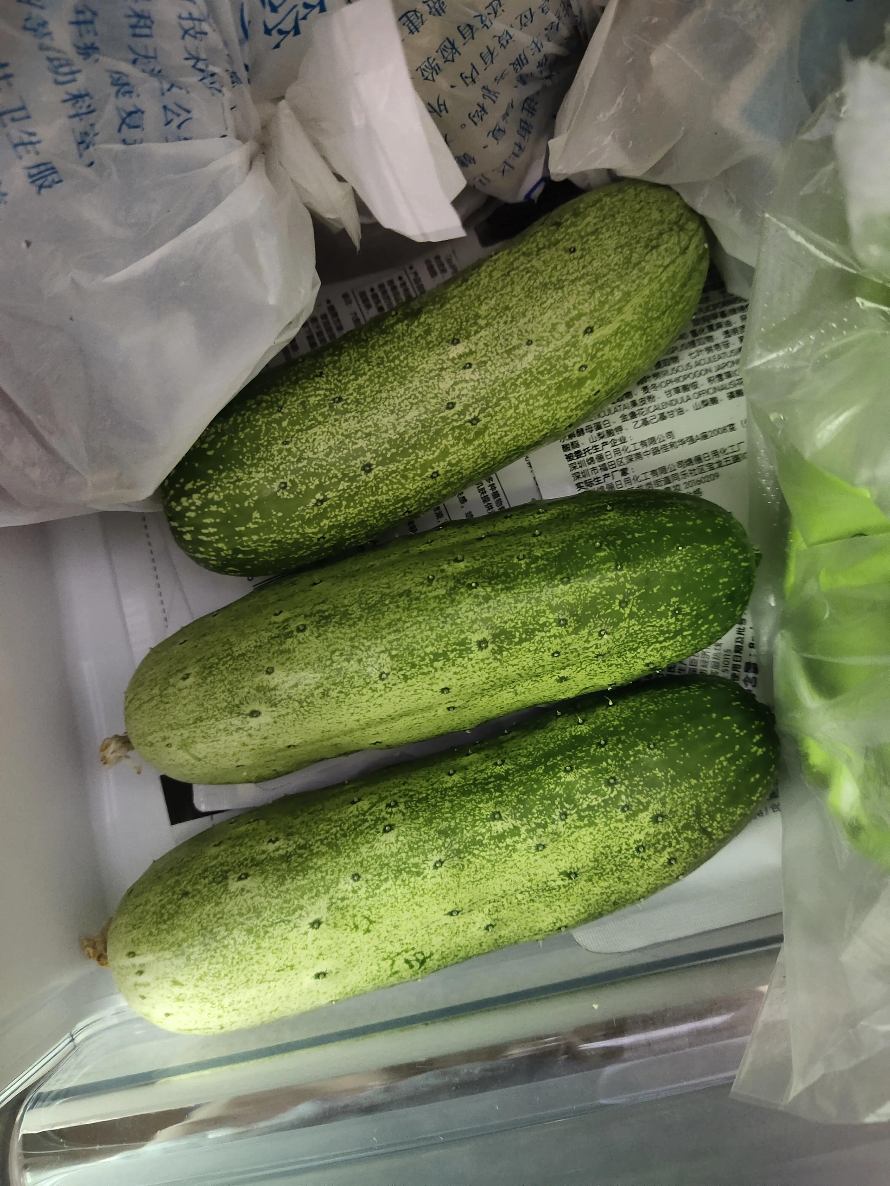 家庭灭黄瓜叶虫好办法,阳台上有小黑点的虫子怎么来的