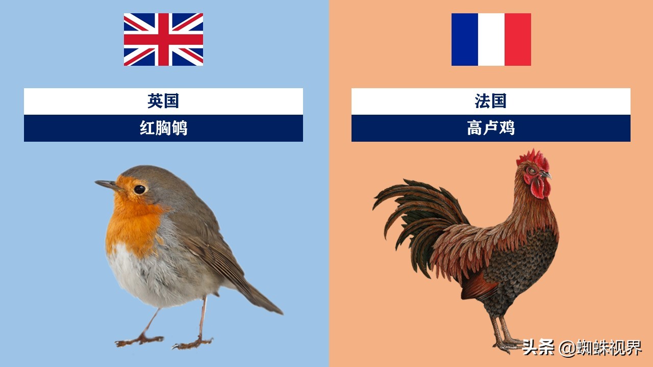 60秒认识中国55项世界遗产,世界各国的代表动物分别是