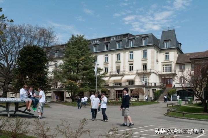 宝藏学校,宝藏学校有哪些