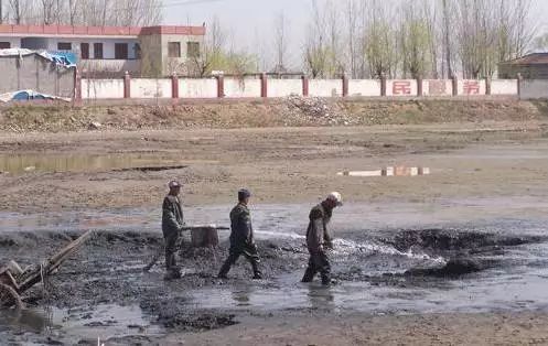 养虾的分享,养虾牛人对虾养殖技术视频