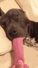 为什么吐舌,宝宝总是吐舌头什么原因