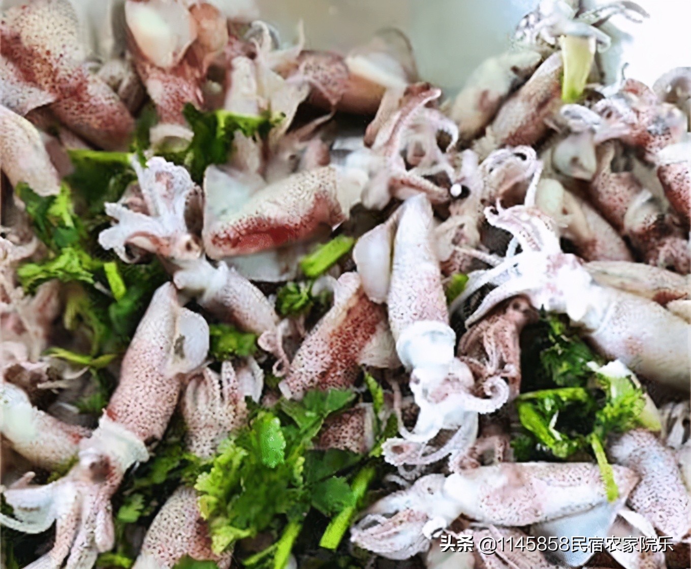 长岛大黑山岛民宿攻略,长岛沙滩民宿推荐