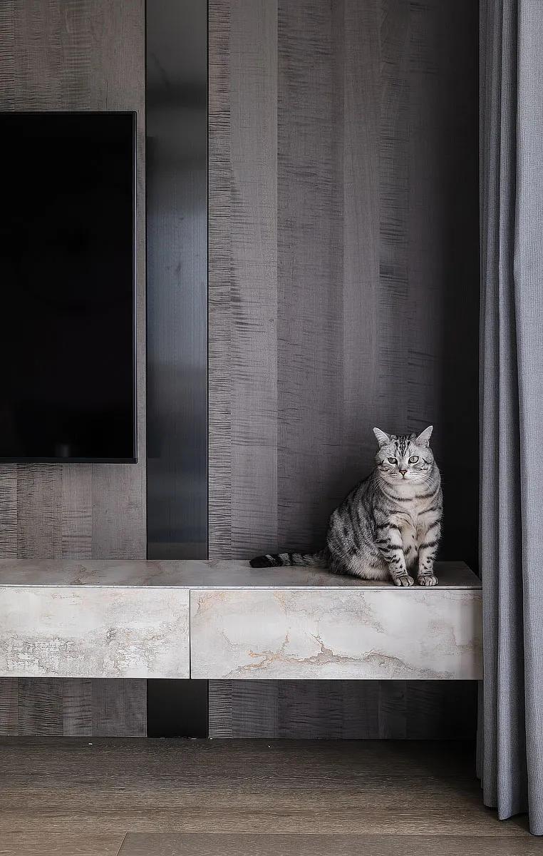 趣味极简，宅漫二次元最爱的游戏之家|赫设计