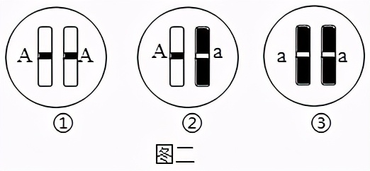 临沂2022生物会考答案,罗庄区生物一模试卷
