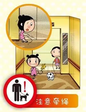 电梯安全小视频,家用电梯安全吗