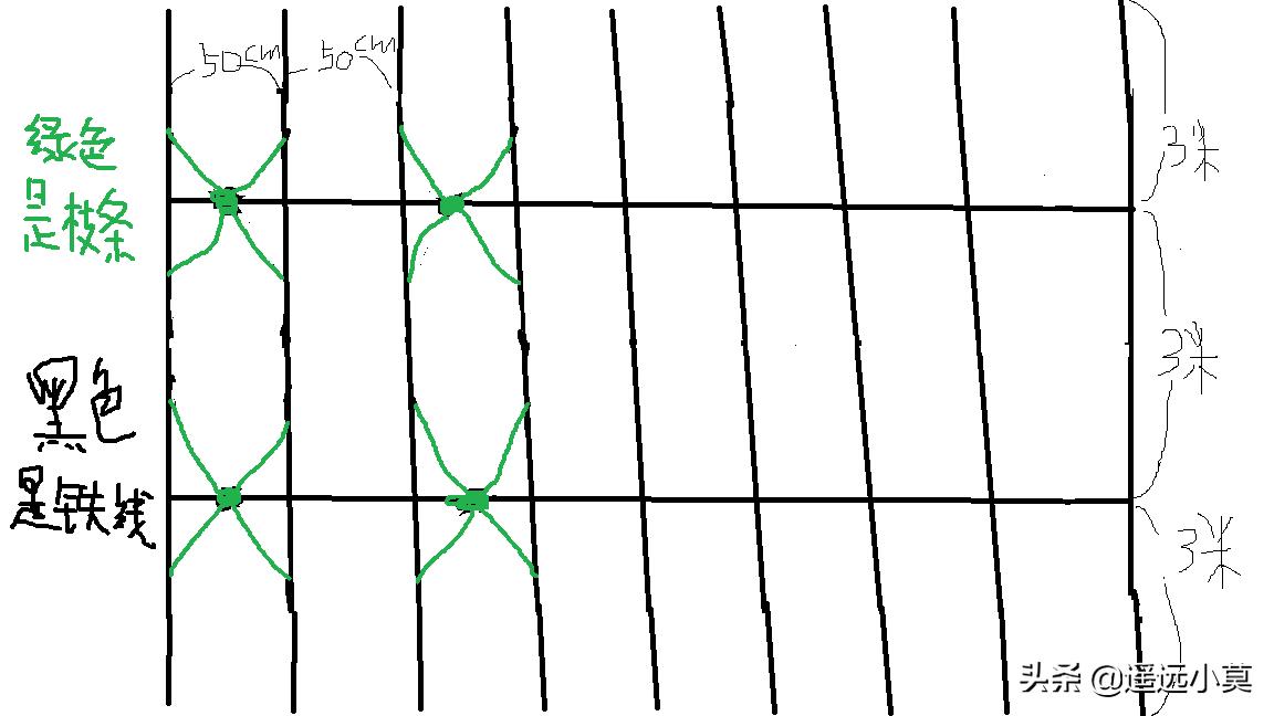 最新黄金百香果种植技术,黄金百香果的正确种植方法