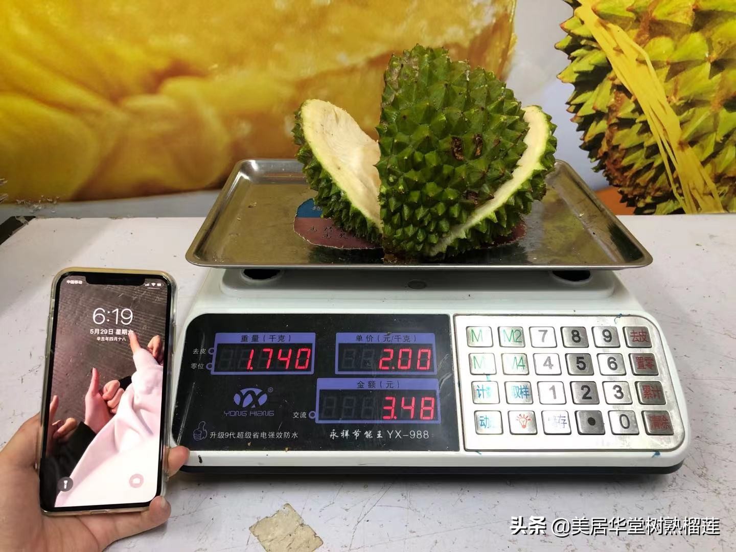 榴莲会缩水吗？亲测两天