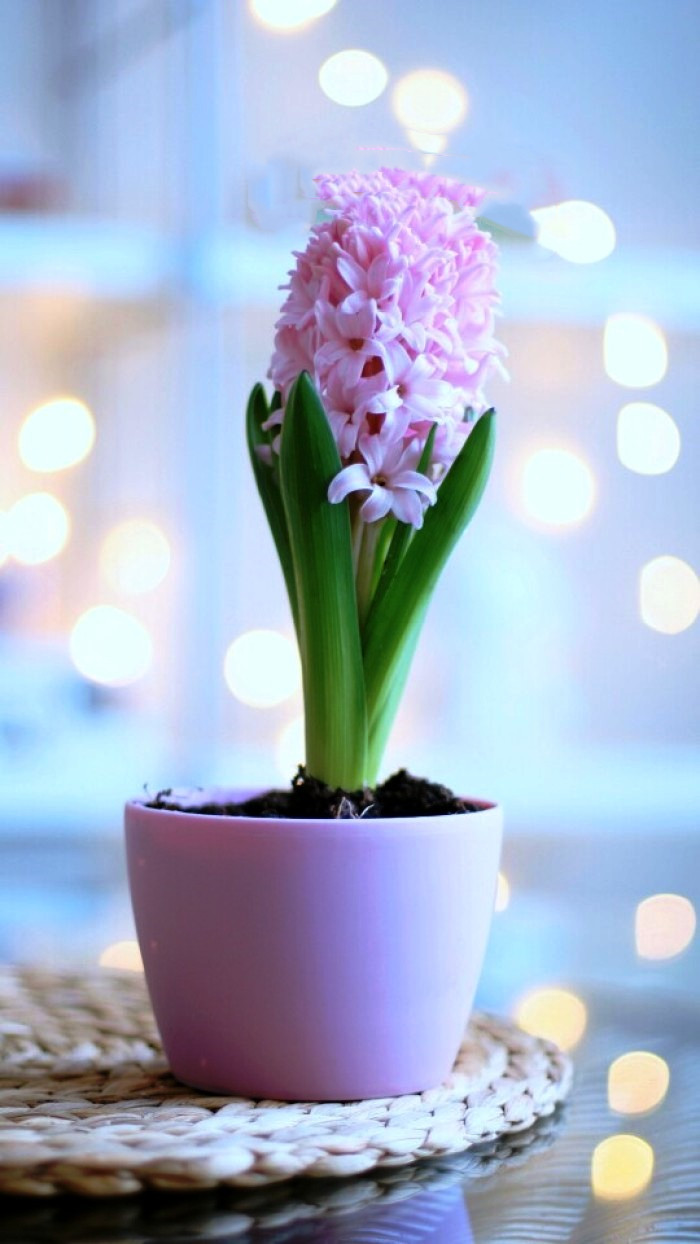 朋友圈说说大全简约又精致的句子,朋友圈说说精致的句子