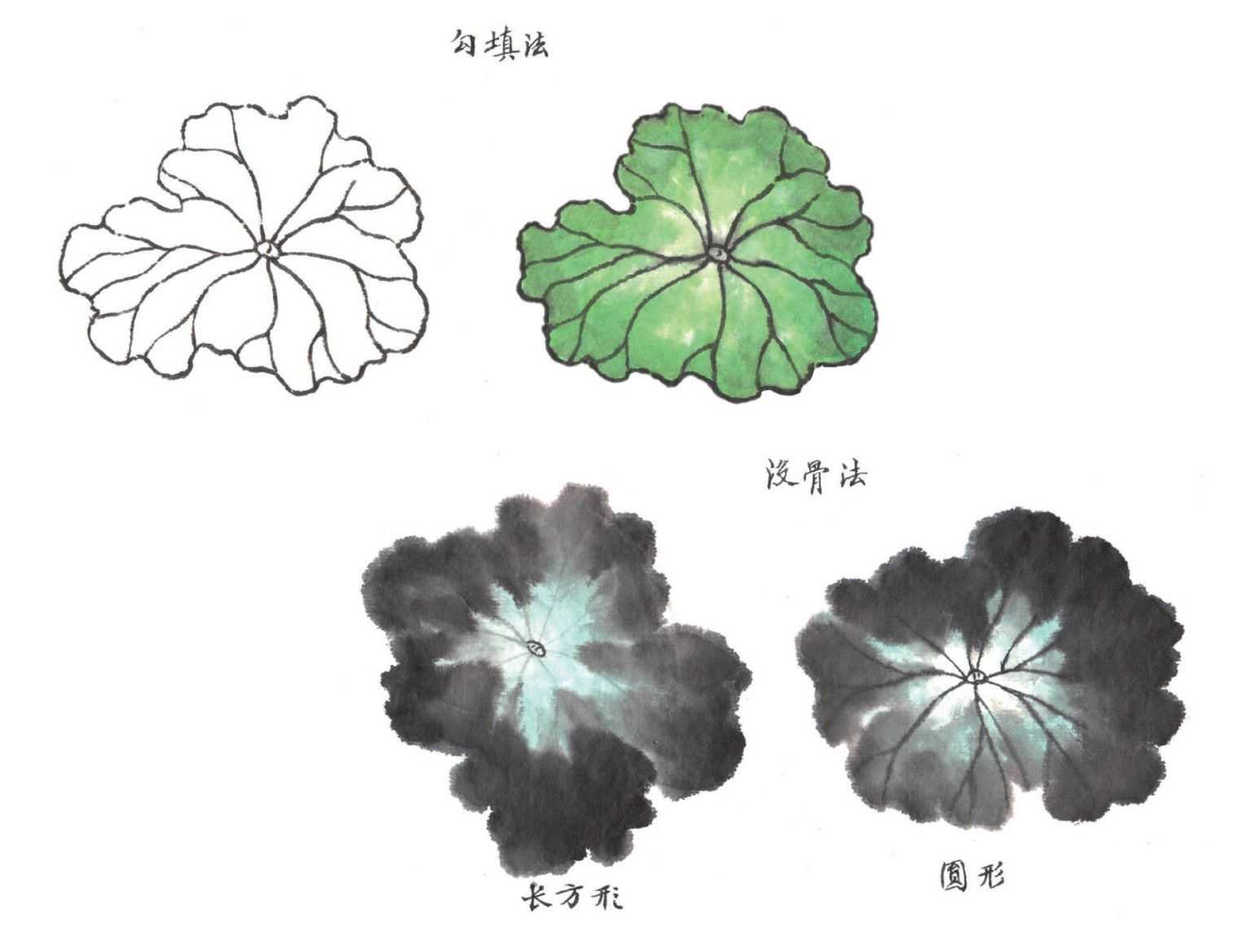 国画荷花入门基本笔画教程,国画入门零基础荷花直接画法