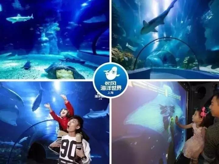上海长风海洋世界五一,99元即可畅玩上海海昌海洋公园
