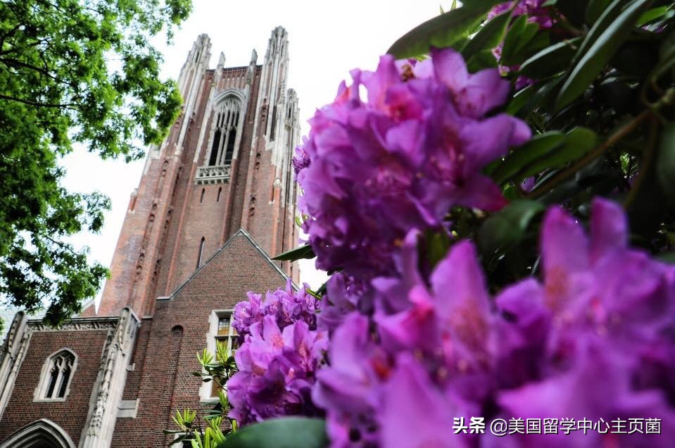 美国教育vs英国教育,王者之争快船vs湖人