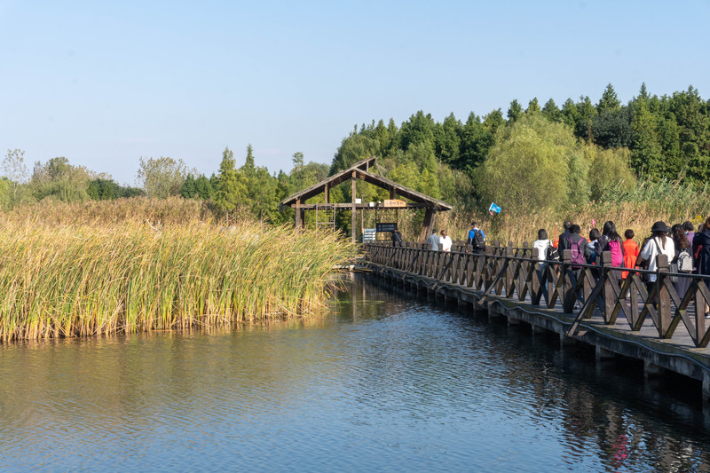乘着高铁去踏青赏景,乘着高铁游扬州高邮北