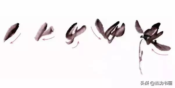 国画兰花技法讲解视频,徐湛国画兰花技法教学