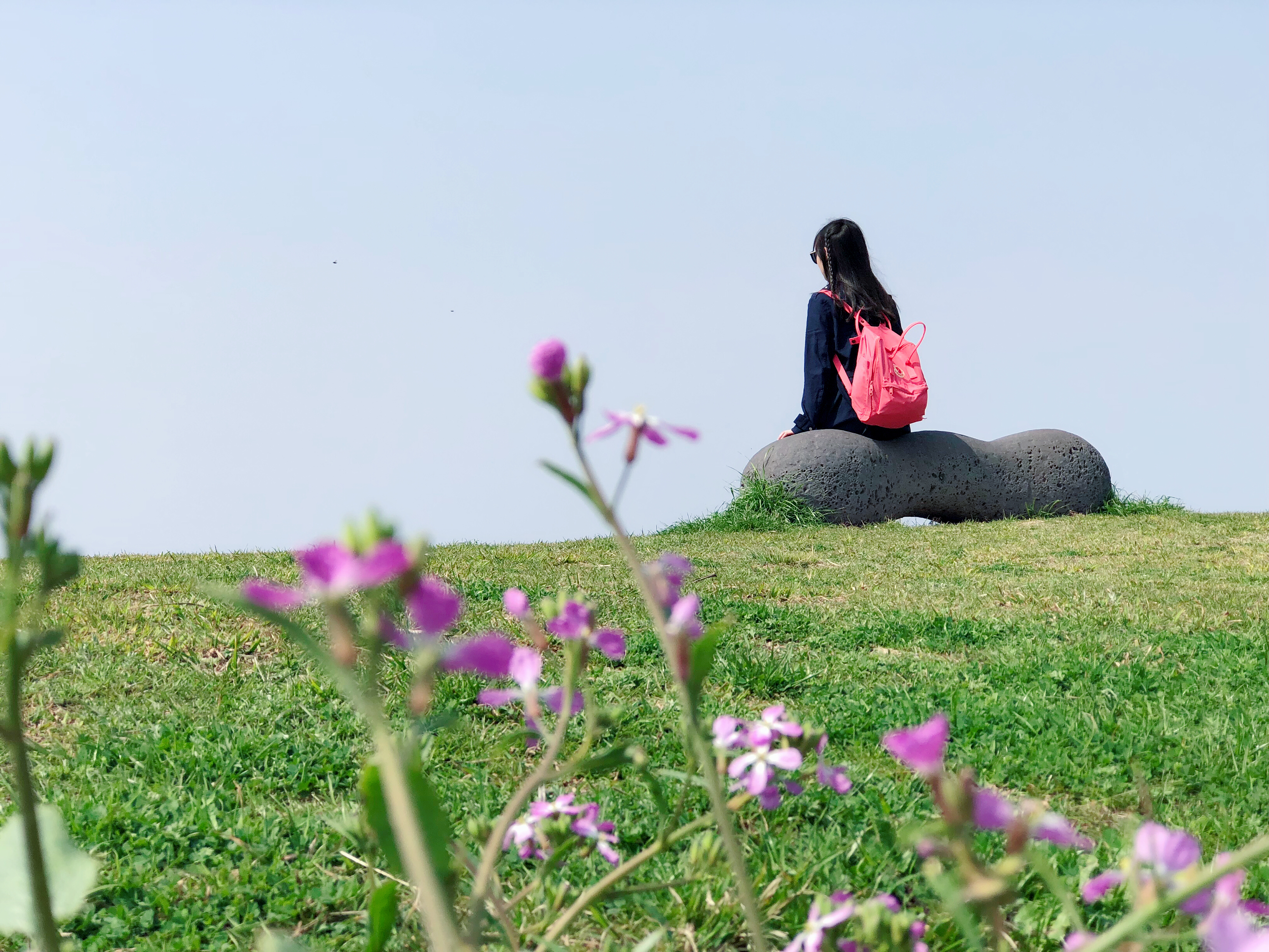 出国游玩新手小白,出国去韩国济州岛打工