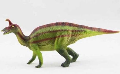 山东哪里有恐龙乐园,山东恐龙和其他恐龙对比