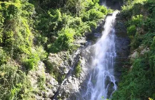 深圳新添大型高颜值公园,深圳最近新开放的公园