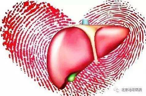 肝功能检查只有总胆汁酸偏高,肝功能总胆汁酸高的原因是什么