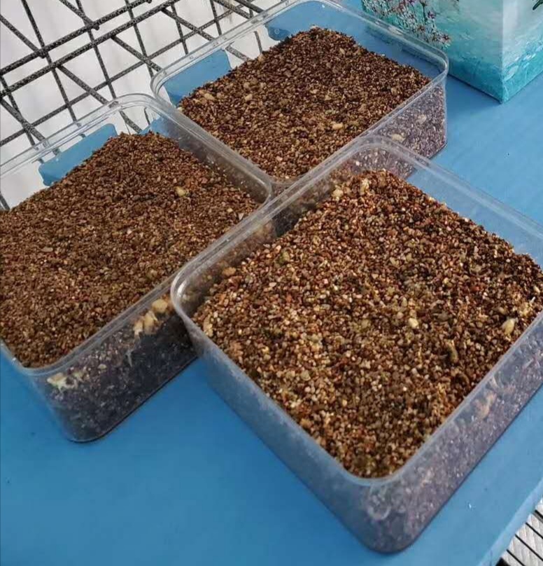 化毛膏和猫草棒的区别,猫咪吃完化毛膏呕吐是什么原因