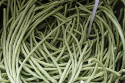 家里吃不完的豆角晒干,家里种的豆角吃不完怎么办