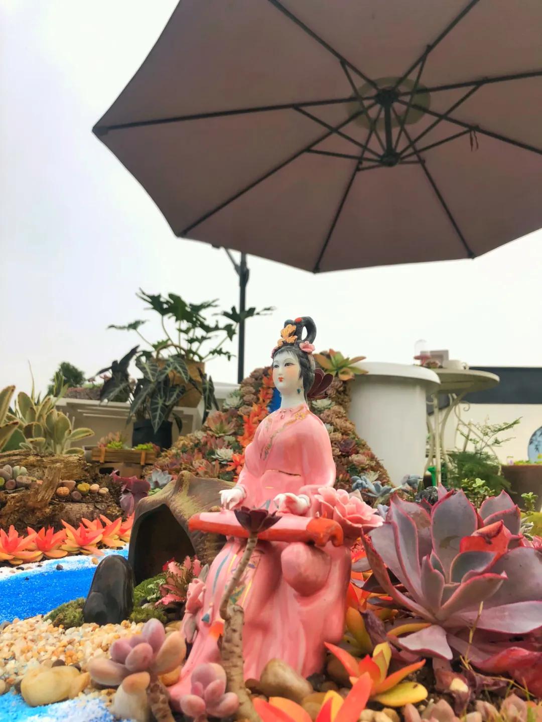 这个年销量上亿株多肉的县城，举办了首届多肉电商节