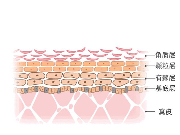 保湿喷雾不适合自己还有什么用,如何正确的使用保湿喷雾