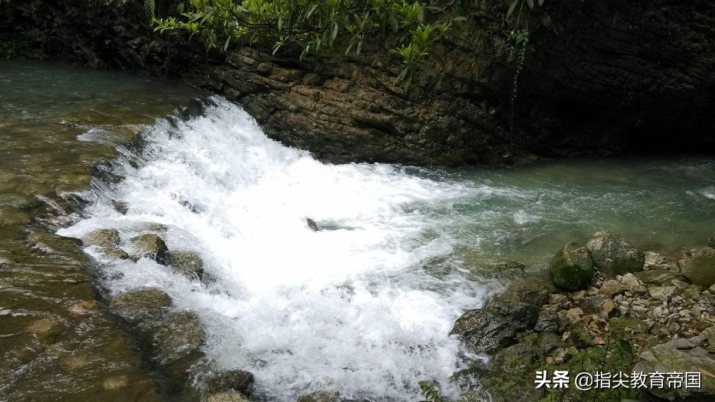 三年级语文第七单元易错点,三年级语文重点易错归纳总结练习