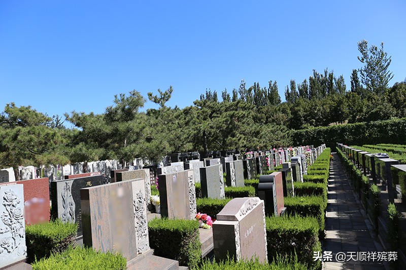 现在买墓地要多少钱,墓地的价格一般多少钱