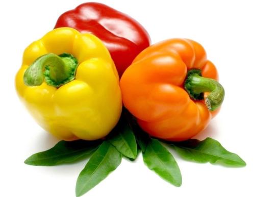 探析日本农业：从8个方面的比较分析，看中日农业差异（上篇）