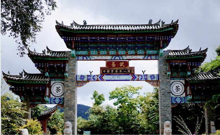 刮风寨哪些茶比较出名,刮风寨是易武最好的茶吗