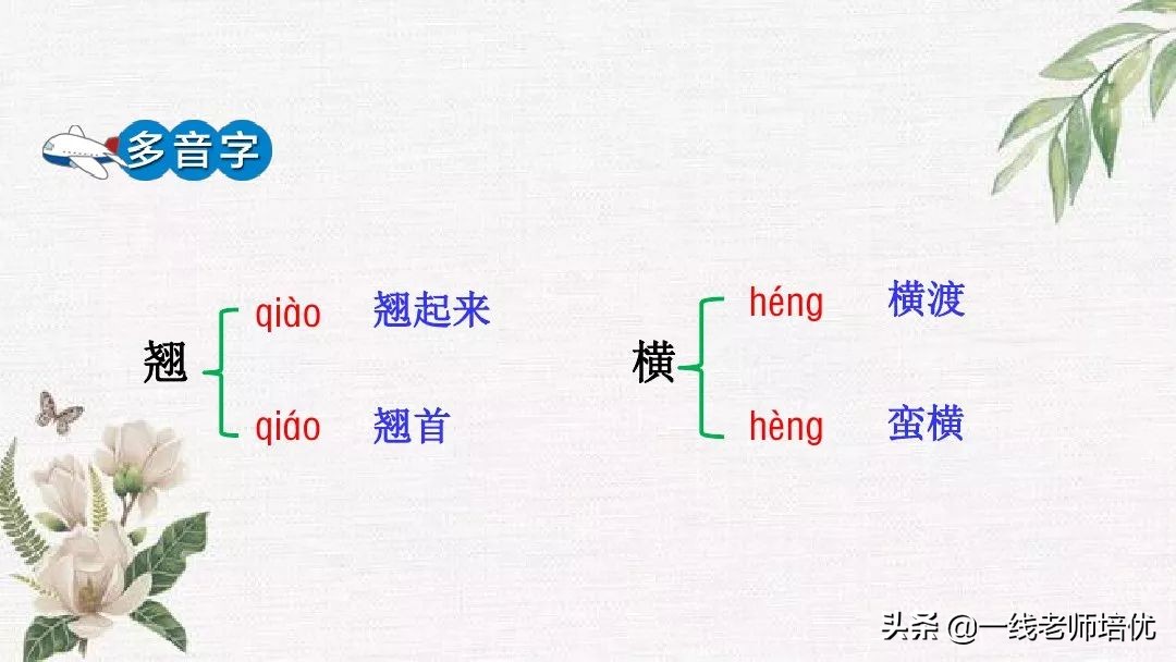 语文五年级上册第17课松鼠资料,部编版五年级上册第17课松鼠课件