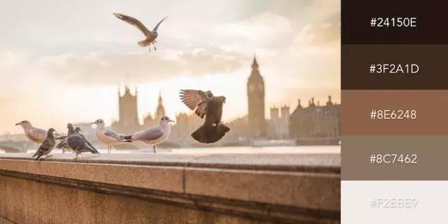 999张图片视频的卡点模板,服装设计素材收集与整理