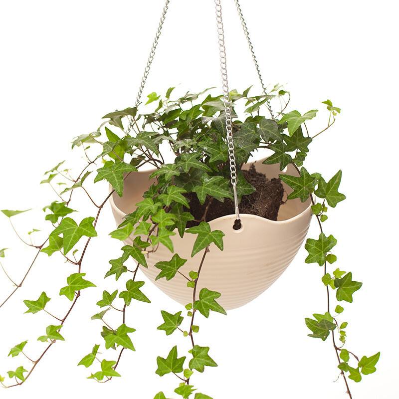 除甲醛最好最快的方法央视,新车去除甲醛最快最好的方法