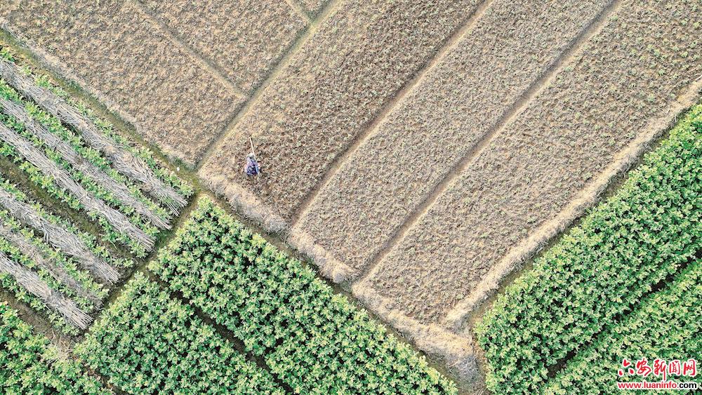 田畴沃野的意思,田畴沃野焕新颜