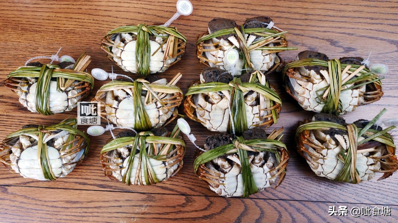 秋天肥美的大闸蟹,大闸蟹哪个季节最好吃最肥美