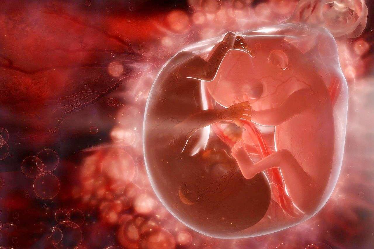 怀孕37周的症状及注意事项,37周见红了但肚子不痛一般多久生