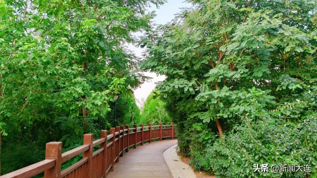 大连赏秋免费的地方,大连赏秋打卡地