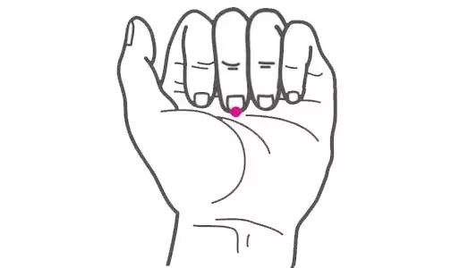 阳气发于什么穴位,中医认为人体阳气的根在肾