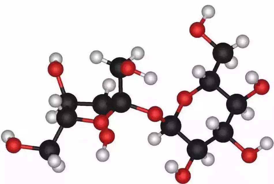 新生儿菌群主要来自什么地方,宝宝建立菌群的时间