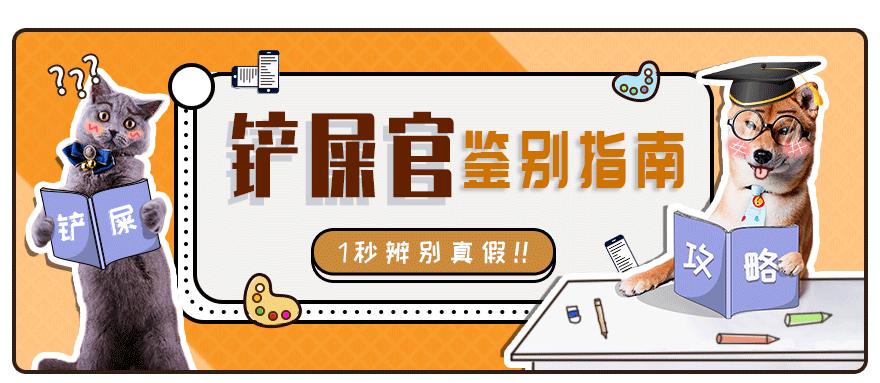 怎样判断铲屎官好坏,铲屎官的鉴定方法视频