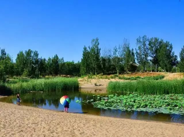 昌平哪个地方的公园最好,昌平区主要公园及景点