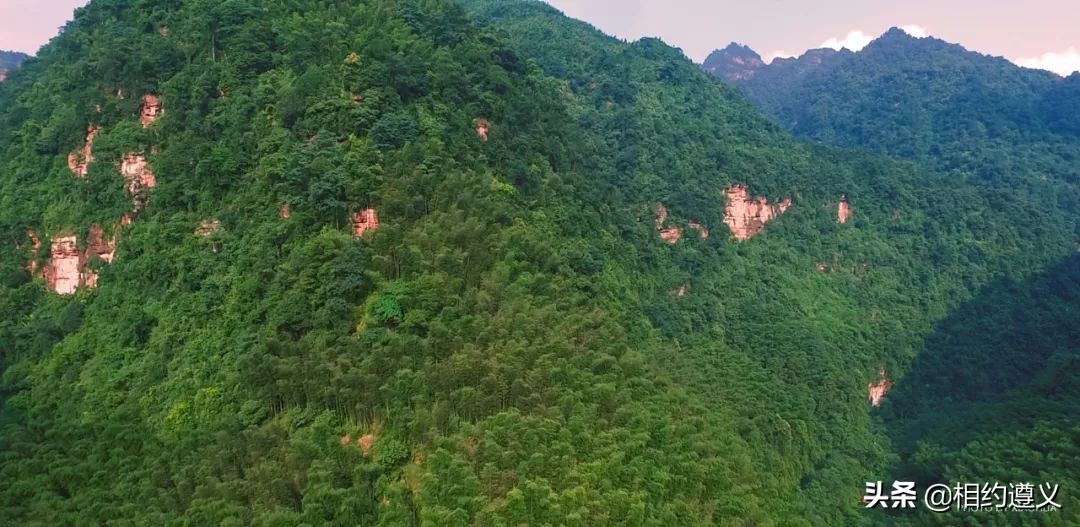 赤水大瀑布 侏罗纪公园 (世界唯一保留的侏罗纪原始公园)