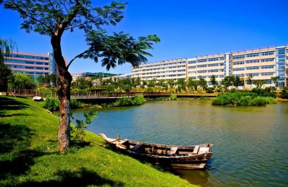 向往的大外|带你一起看大外