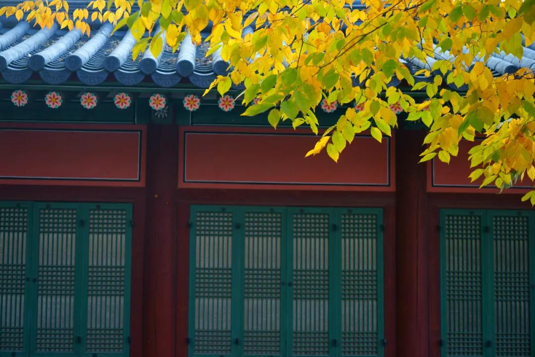 经典永存100句描写秋天的优美诗词,最美的秋天诗词