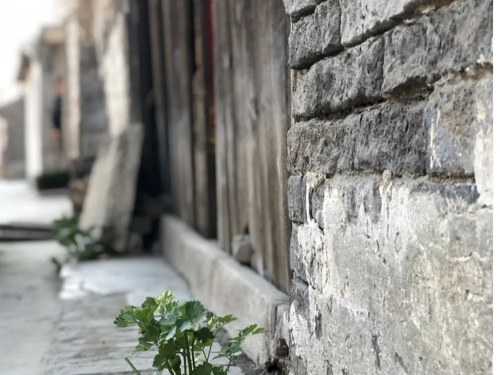 刘桥老街在哪里,郑州刘桥老街